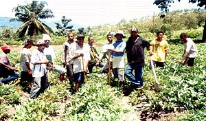 Agriculture skills training