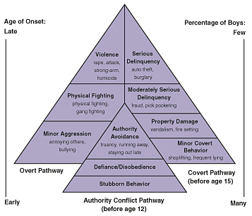 Pyramid graph showing the developmental pathways to serious and violent offending